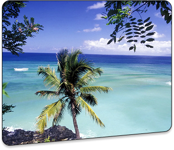 Comoros Crypto License
